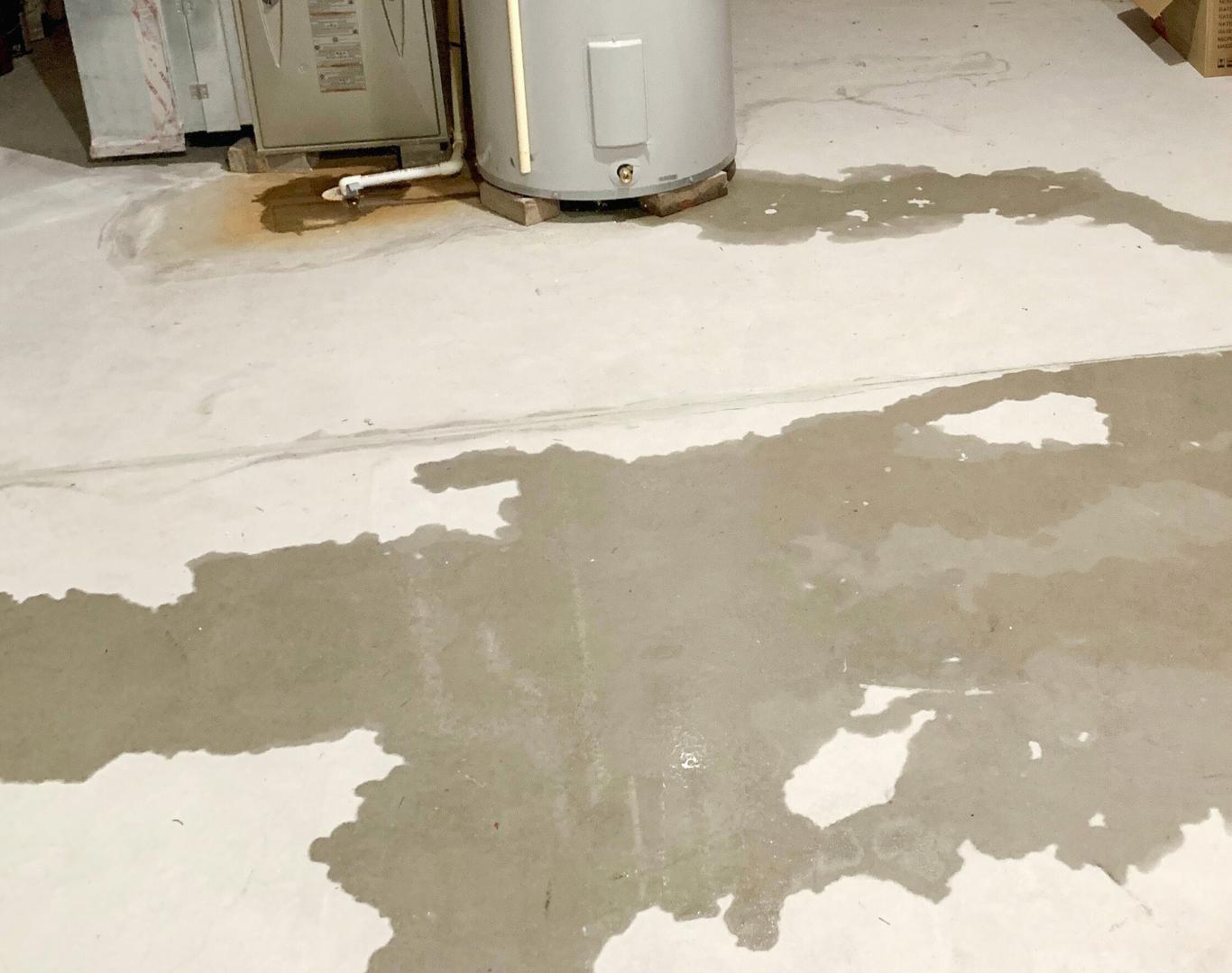 Licensed plumbing technician in Irving, TX inspecting drainage systems Licensed plumbing technician in Irving, TX inspecting drainage systems