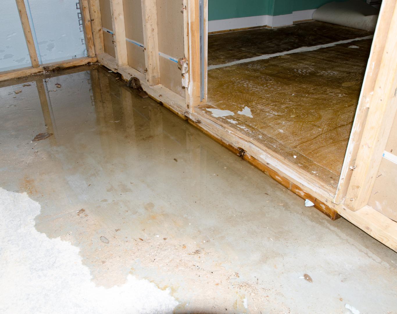 Trusted plumbing company in Plano, TX serving local homeowners