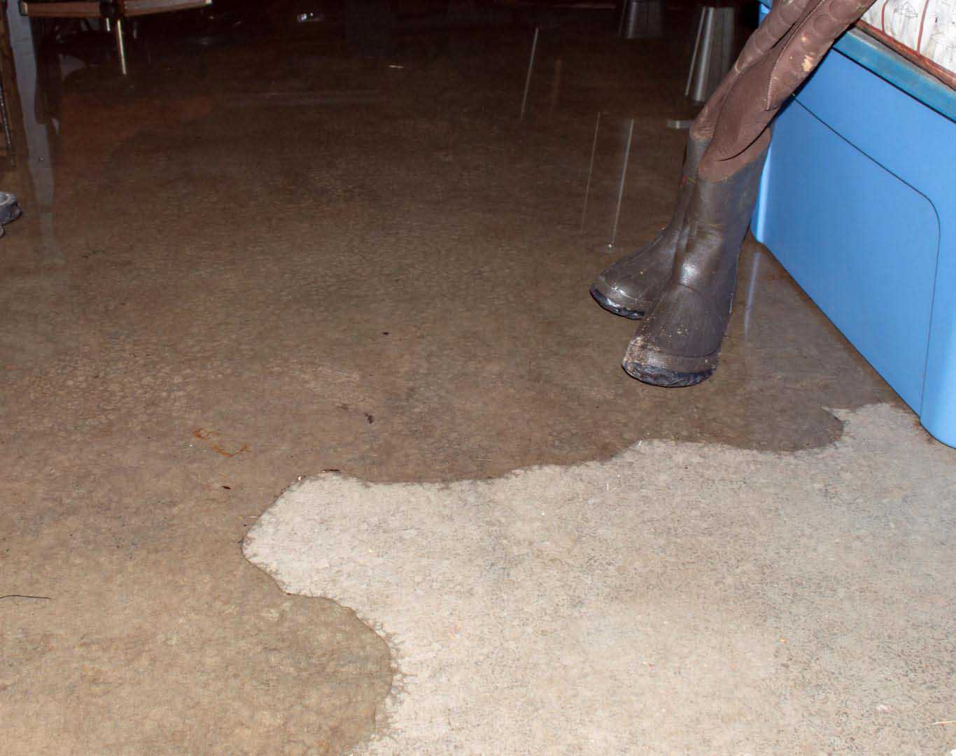 Leak Detection Services in DFW and Repairs